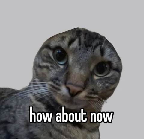 How About Now Cat