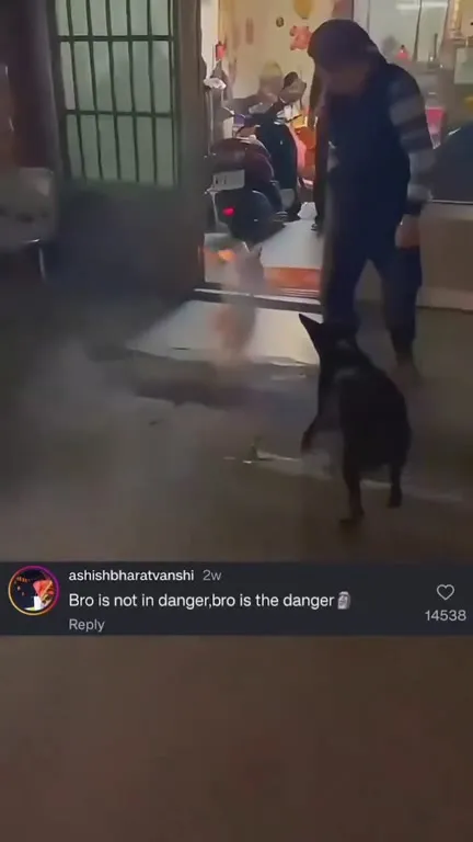 Bro Is the Danger