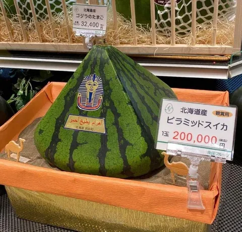 ピラミッドスイカが高すぎる