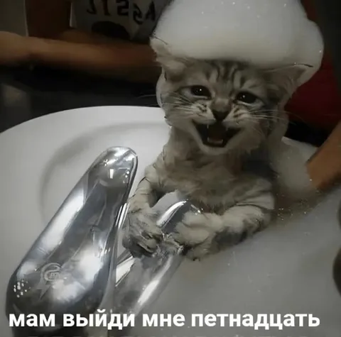 Котёнок просит пятнадцать рублей