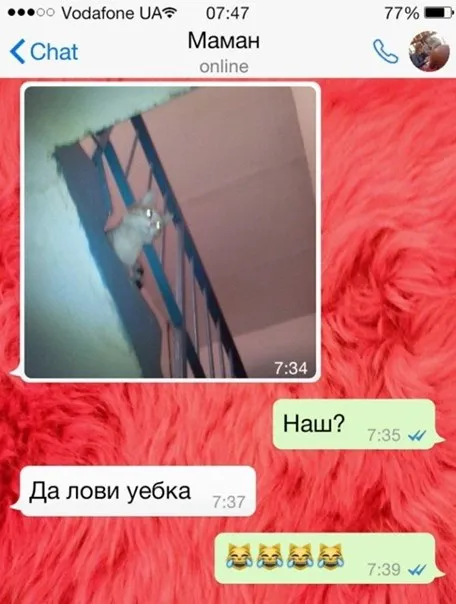 Маман поймала уебка