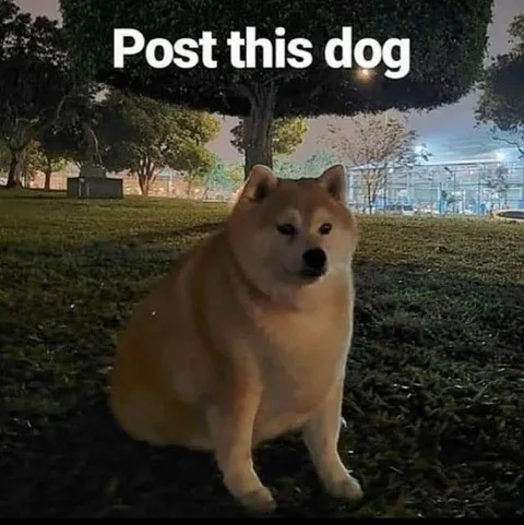 Post This Dog