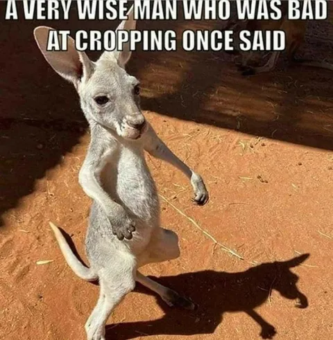 Wise Man Bad at Cropping