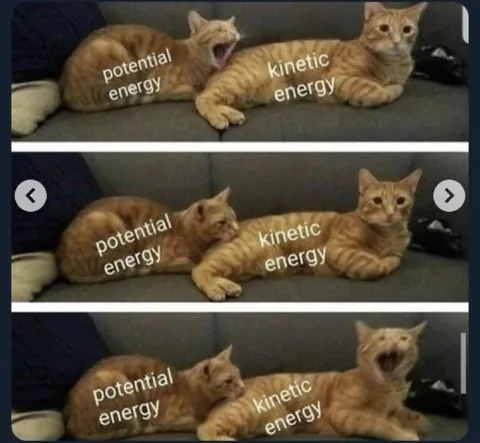 Potential and Kinetic Energy Cats