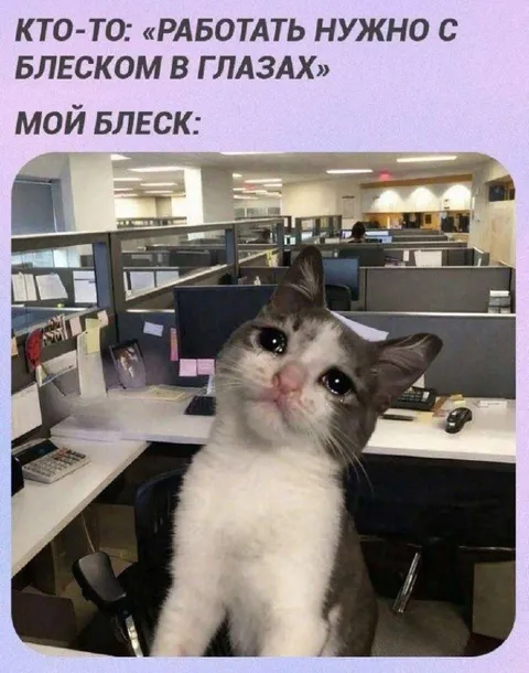 Блеск в глазах на работе