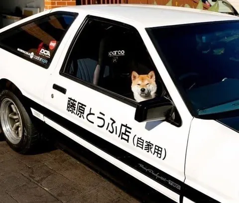 犬が運転する藤原とうふ店