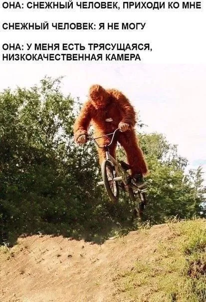 Снежный человек и камера
