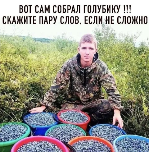 Сам собрал голубику