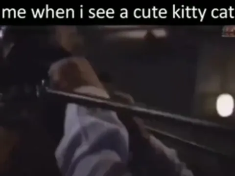 Me When I See a Cute Kitty Cat