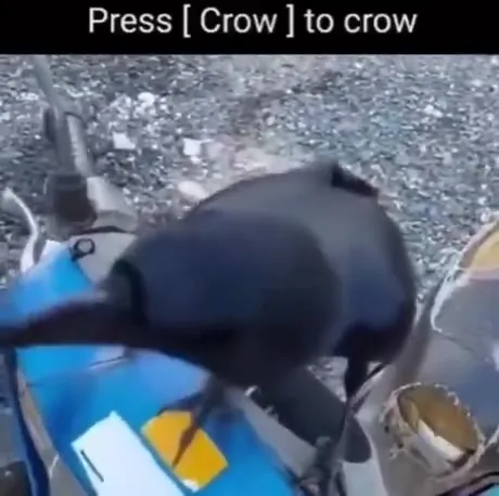 Press Crow to Crow
