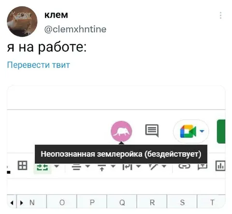 Я на работе: неопознанная землеройка