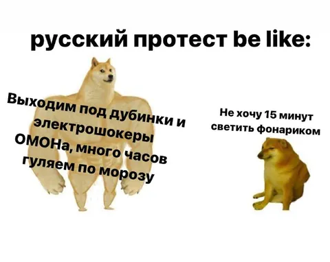 Русский протест be like