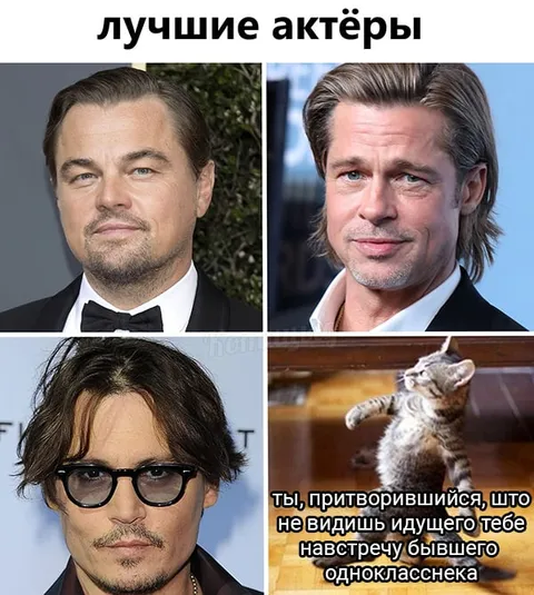 Лучшие актёры и кот