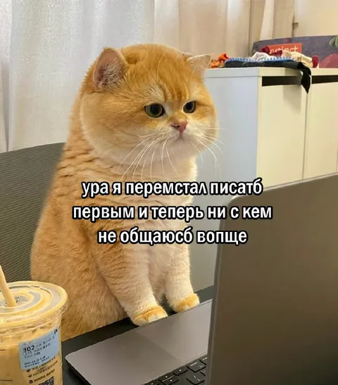 Кот перестал писать первым