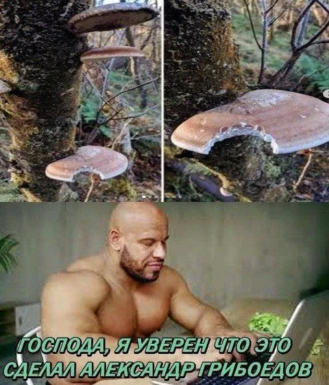 Грибоедов сделал грибы