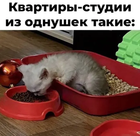 Квартира-студия из однушки