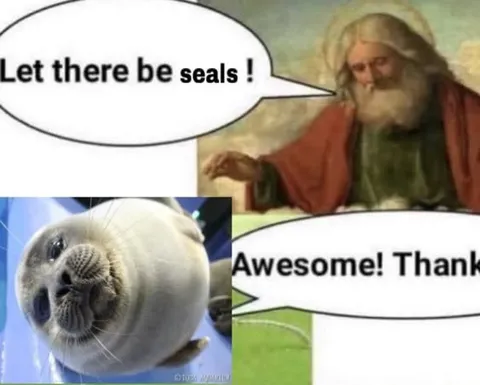 Let There Be Seals