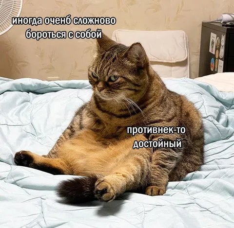 Борьба с достойным противником