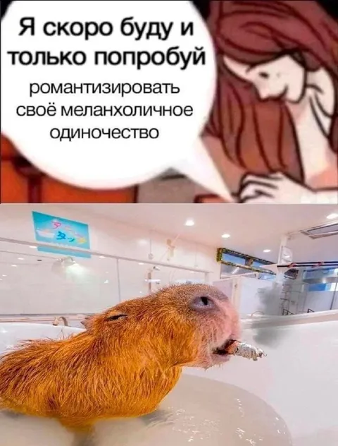 Романтизация меланхоличного одиночества