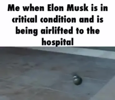 Elon Musk Airlifted to Hospital