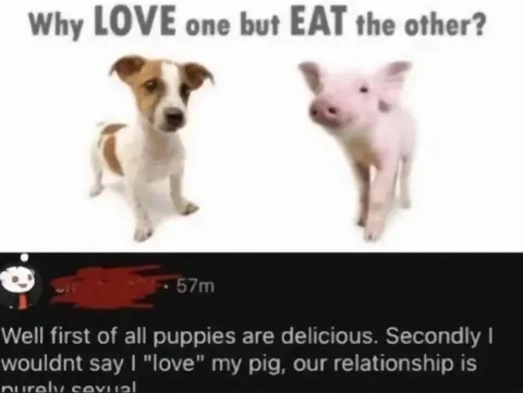 Why Love One but Eat the Other