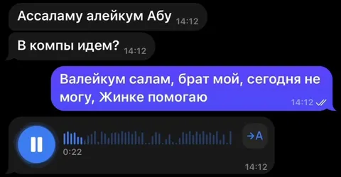Помогаю Жинке голосовым
