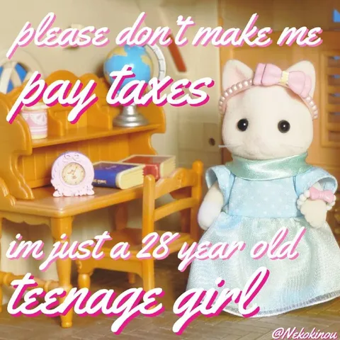 28-Year-Old Teenage Girl Taxes