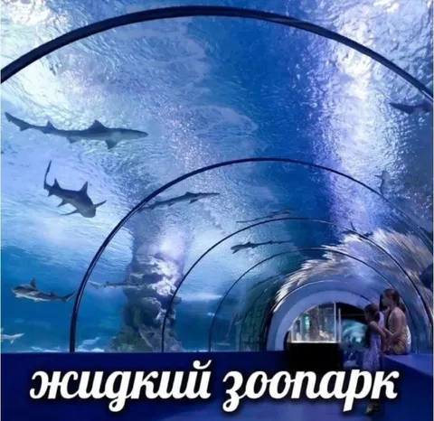 Жидкий зоопарк с акулами