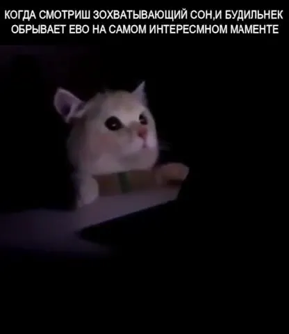 Будильник обрывает сон