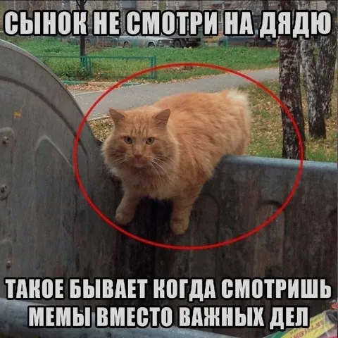 Сынок не смотри на дядю