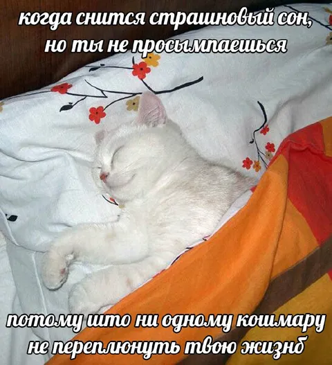 Кошмар хуже реальной жизни