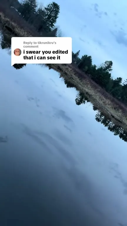 I Swear You Edited That