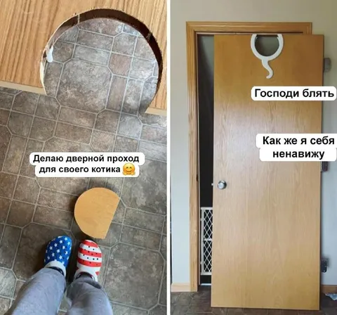 Дверной проход для котика
