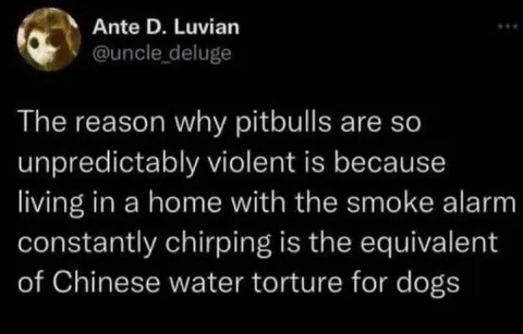 Pitbulls and the Chirping Smoke Alarm