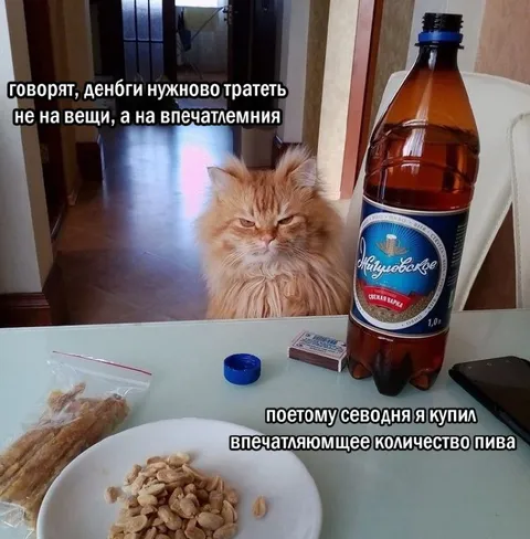 Впечатляющее количество пива