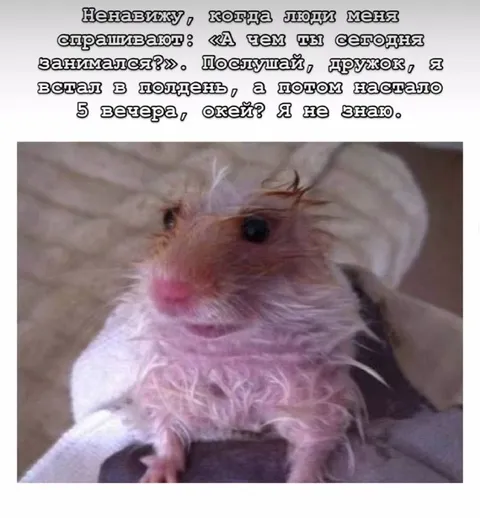 Я встал в полдень
