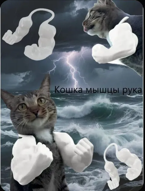 Кошка мышцы рука