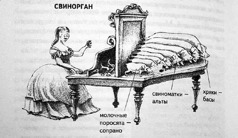 Свинорганы на операционном столе