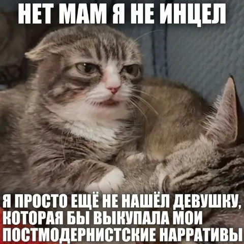 Кот ищет девушку для постмодерна