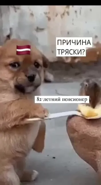 Причина тряски пенсионера