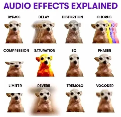 Audio Effects Explained Chihuahua