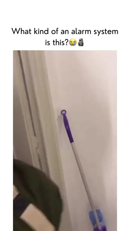 What Kind of Alarm System Is This