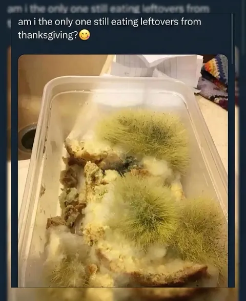 Leftovers Gone Moldy
