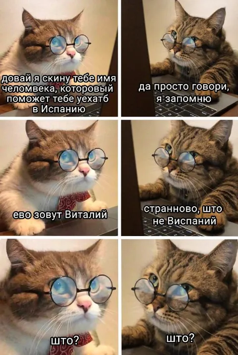 Кот записал имя Виталий