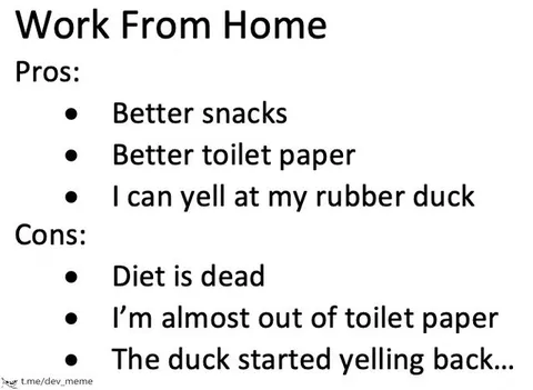Work From Home Pros and Cons