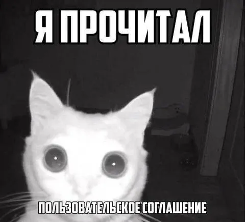 Я прочитал пользовательское соглашение