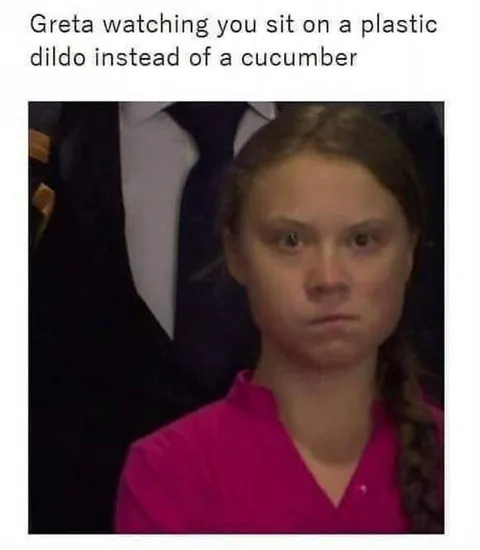 Greta Thunberg Disapproves