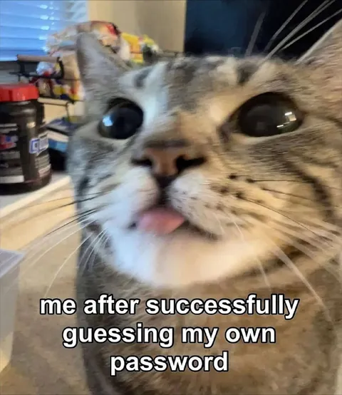 Cat Guesses Its Own Password