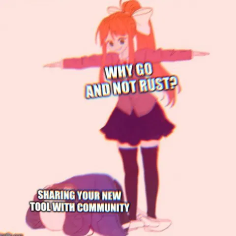 Why Go and Not Rust