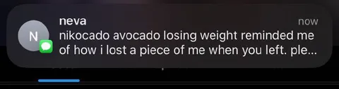 Nikocado Avocado Weight Loss
